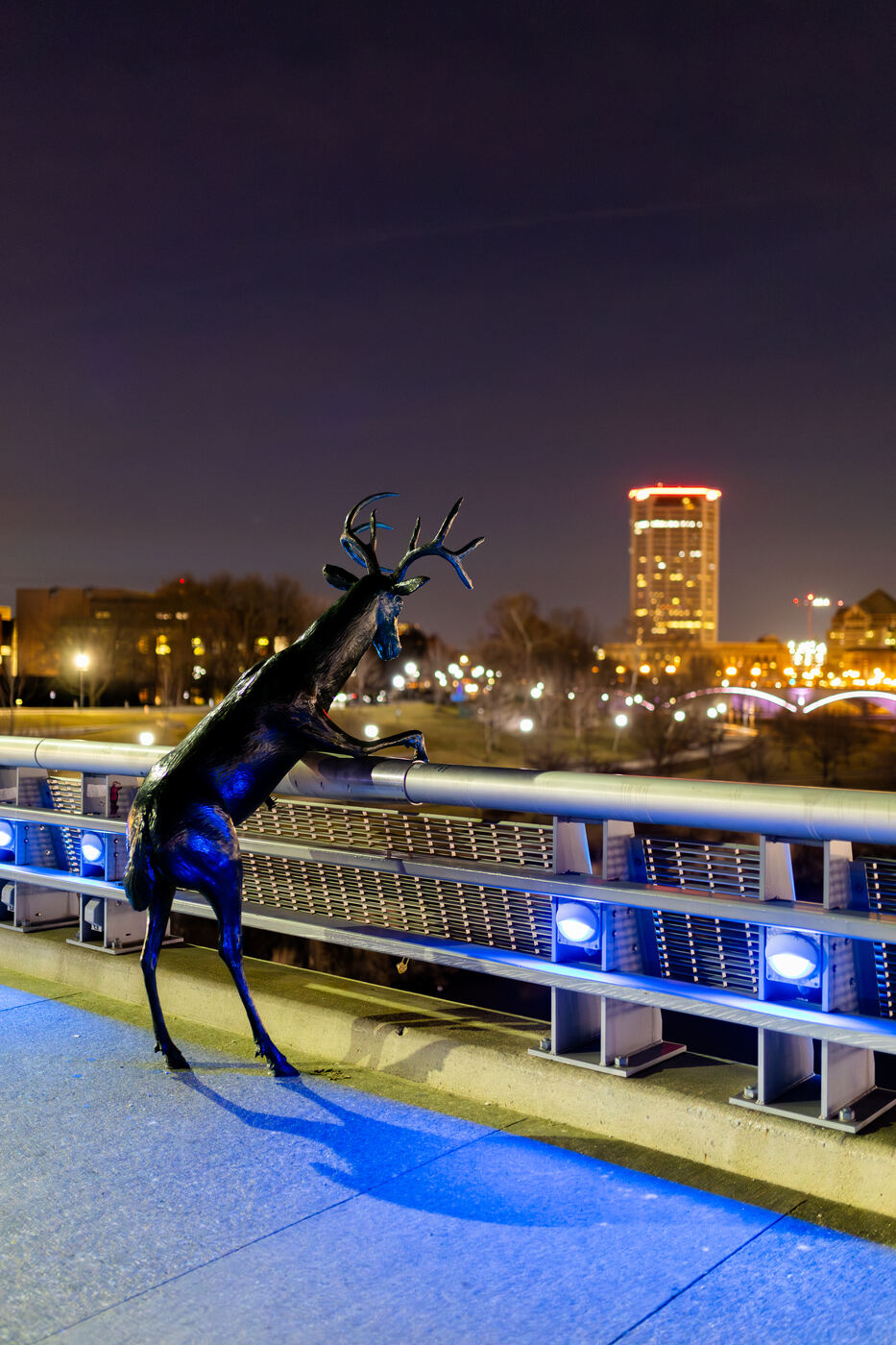 Pedestrian Bridge, Night