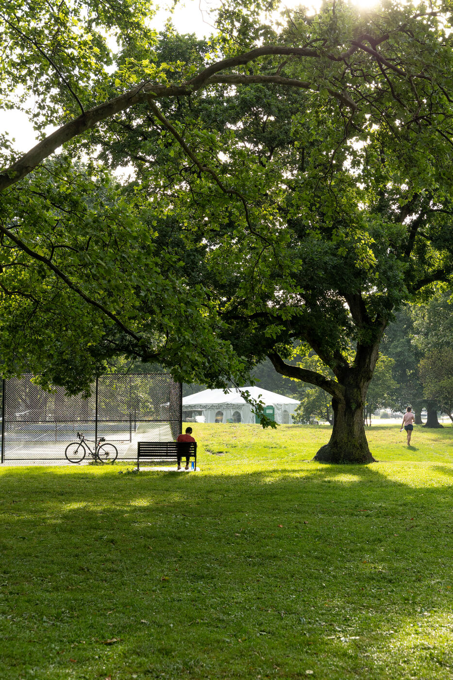 Oak, Bicycle
