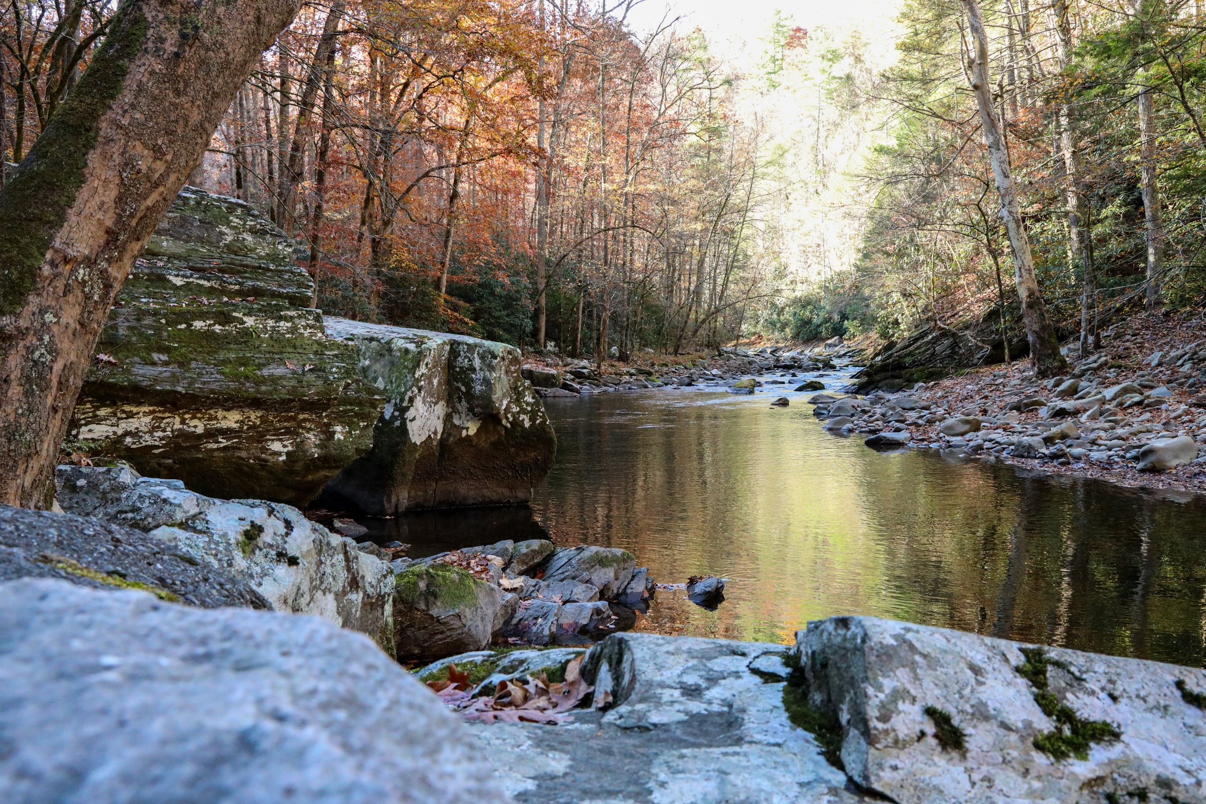 Autumn · Creek